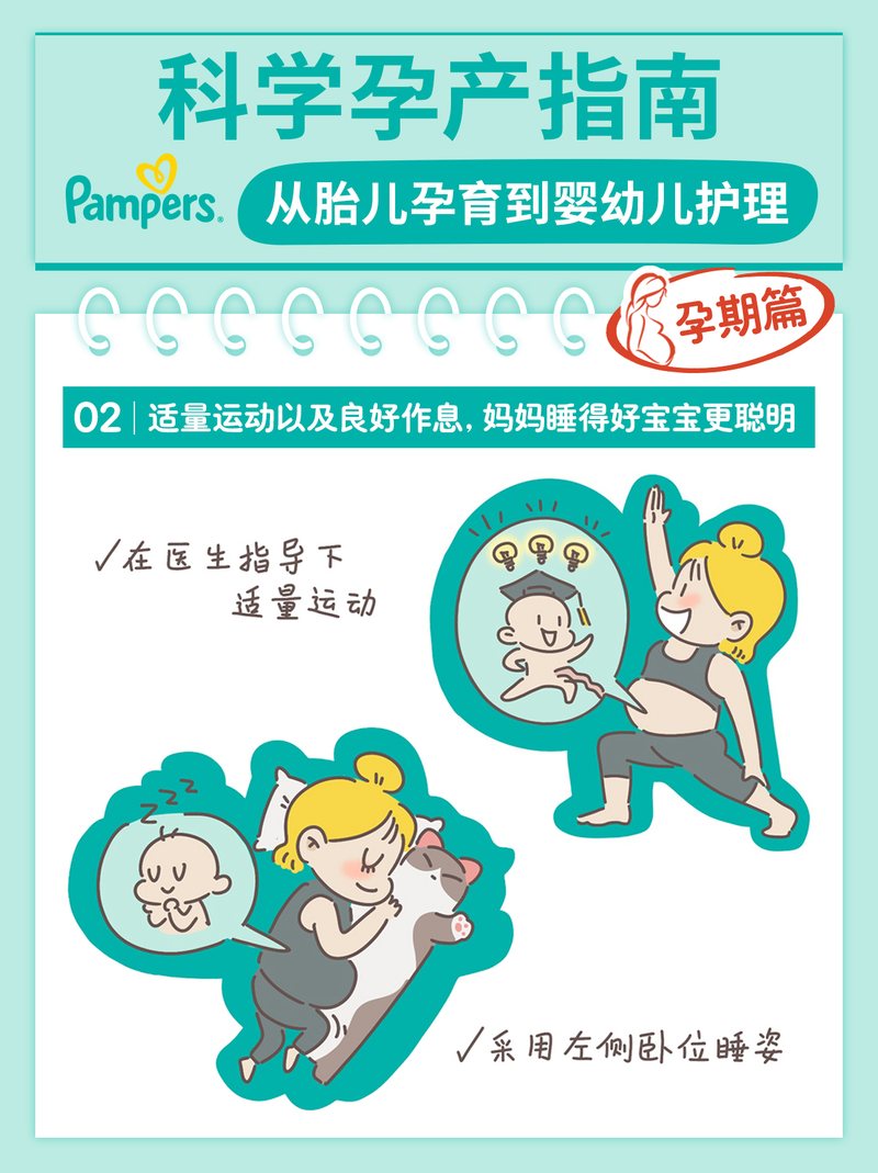 科学孕产指南,从胎儿孕育到婴幼儿护理图文素材第3页