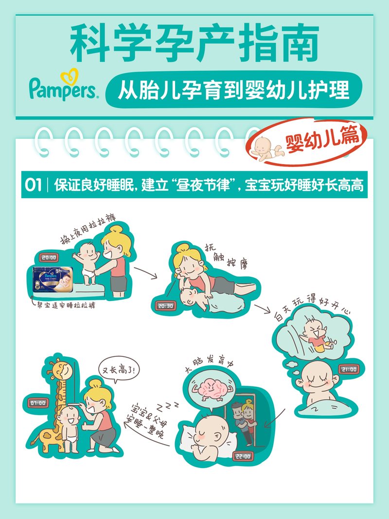 科学孕产指南,从胎儿孕育到婴幼儿护理图文素材第5页